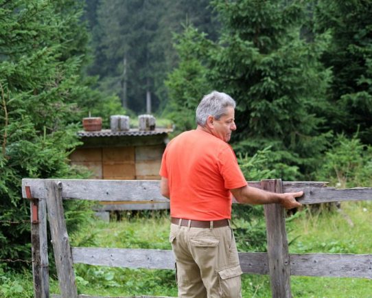 (Foto: Knut Kuckel)